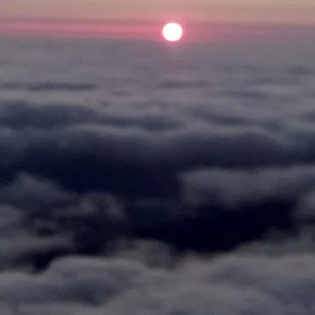 Cc39- Q5 3* フンシャル