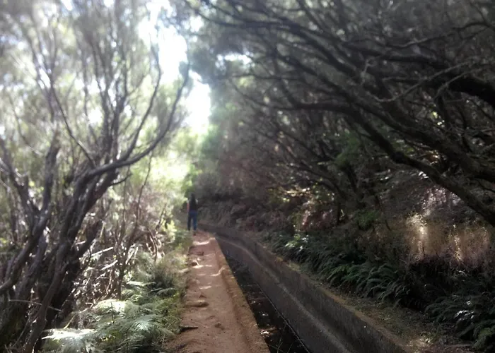 Cc39- Q5 フンシャル