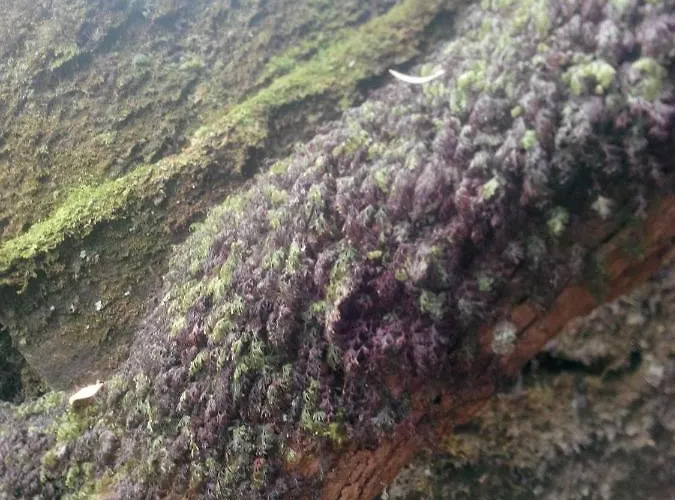 Cc39- Q5 Vendégház 3*