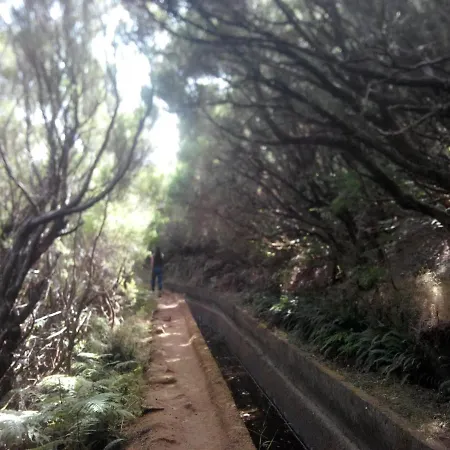 Cc39- Q5 Funchal (Madeira)