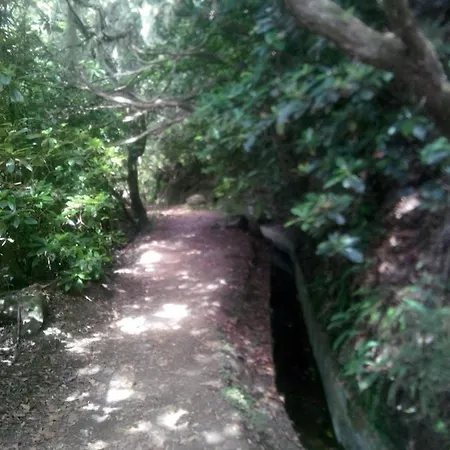 Cc39- Q5 3* Funchal (Madeira)