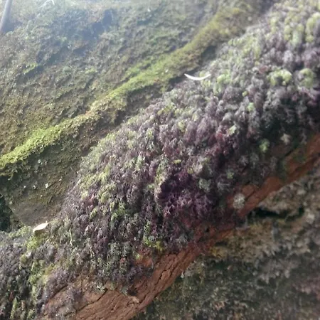 Cc39- Q5 Affittacamere 3*