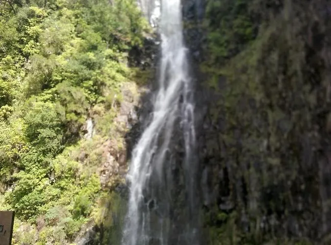 招待所 Cc39- Q5 3*