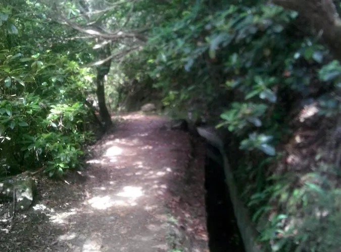 Cc39- Q5 3* 丰沙尔